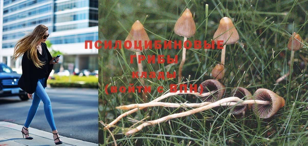 мдпв Зеленокумск